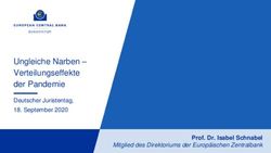 Ungleiche Narben - Verteilungseffekte der Pandemie - Deutscher Juristentag, 18. September 2020 - Europa EU