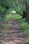 Submission Lound Neighbourhood Plan 2021-2037 - Produced by Lound Neighbourhood Plan Steering Group on behalf of Lound Parish Council and residents