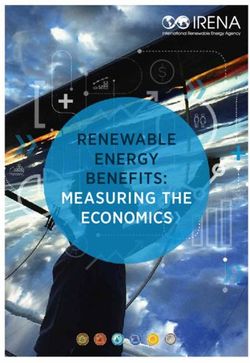 RENEWABLE ENERGY BENEFITS: MEASURING THE ECONOMICS - IRENA
