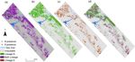 Species versus within species niches: a multi modelling approach to assess range size of a spring dwelling amphibian - Nature