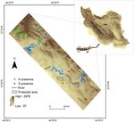 Species versus within species niches: a multi modelling approach to assess range size of a spring dwelling amphibian - Nature