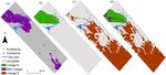 Species versus within species niches: a multi modelling approach to assess range size of a spring dwelling amphibian - Nature