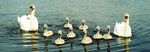 It was love at first sight - Est. 1989 LOUGH ESKE - DONEGAL - Harvey's Point Weddings