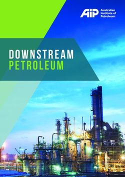 DOWNSTREAM PETROLEUM - Australian Institute of Petroleum