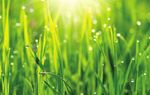 Renewable Energy Projects - Provincial approvals for