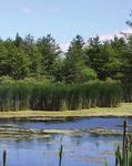 Renewable Energy Projects - Provincial approvals for