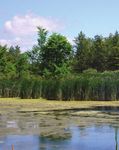 Renewable Energy Projects - Provincial approvals for