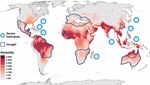 Can coastal cities turn the tide on rising flood risk? - Climate risk and response: Physical hazards and socioeconomic impacts Case study April ...