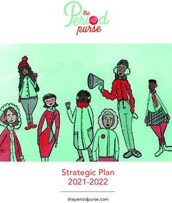 Strategic Plan 2021-2022 - theperiodpurse.com - AWS