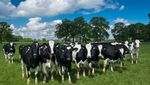 Global Dairy Sector - Trends and opportunities - January 2017 - Deloitte