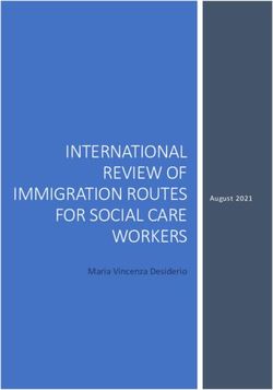 INTERNATIONAL REVIEW OF IMMIGRATION ROUTES FOR SOCIAL CARE WORKERS - Maria Vincenza Desiderio