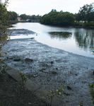 STRATEGY FOR A WATER SENSITIVE COMMUNITY 2012 - 2021 MARRICKVILLE COUNCIL