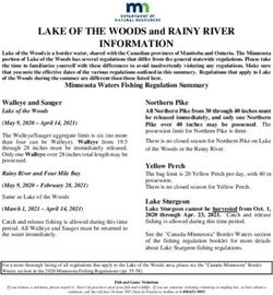 INFORMATION LAKE OF THE WOODS and RAINY RIVER - MN DNR