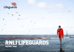 RNLI LIFEGUARDS REPORT 2020