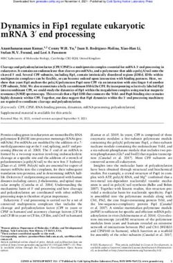 Dynamics in Fip1 regulate eukaryotic mRNA 3 end processing