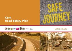 Cork Road Safety Plan 2016-2020 - Cork City Council