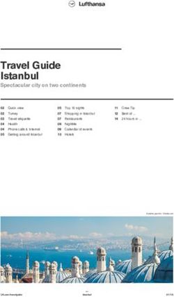 Travel Guide Istanbul - Spectacular city on two continents