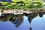 BELMOND EL ENCANTO - ICONIC SANTA MONICA PIER HISTORIC SOCAL HOMES - Linda Lang's Taste of Travel