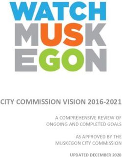 CITY COMMISSION VISION 2016-2021 - A COMPREHENSIVE REVIEW OF ONGOING AND COMPLETED GOALS AS APPROVED BY THE MUSKEGON CITY COMMISSION UPDATED ...