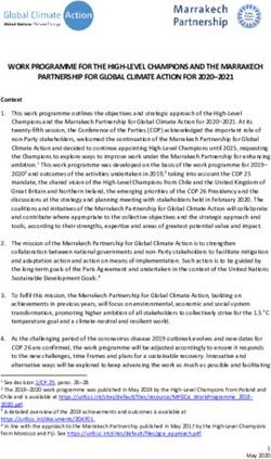 WORK PROGRAMME FOR THE HIGH-LEVEL CHAMPIONS AND THE MARRAKECH PARTNERSHIP FOR GLOBAL CLIMATE ACTION FOR 2020-2021 - unfccc