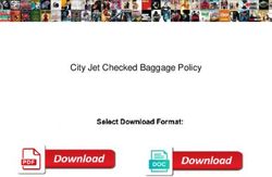 City Jet Checked Baggage Policy - Bungalow Journal