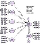 Consumers' Attitudes Towards the Purchase of Counterfeit Fashion Products in Pakistan
