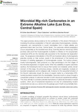Microbial Mg-rich Carbonates in an Extreme Alkaline Lake (Las Eras, Central Spain)