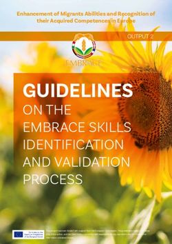 GUIDELINES ON THE EMBRACE SKILLS IDENTIFICATION AND VALIDATION PROCESS