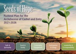Seeds of Hope Pastoral Plan for the Archdiocese of Cashel and Emly 2021-2026 - Faith