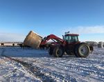 FORAGE MARKET PRICE DISCOVERY - SASKATCHEWAN - Winter, 2019 - Saskatchewan Forage Council