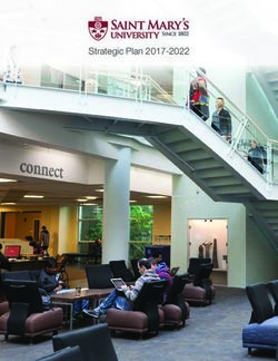 Strategic Plan 2017-2022 - The President of Saint Mary's ...