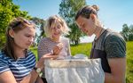 Lund University, Faculty of Science Information Sheet, 2020