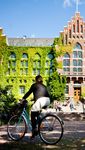 Lund University, Faculty of Science Information Sheet, 2020