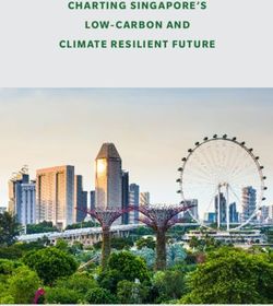 CHARTING SING APORE'S LOW- C ARBON AND CLIMATE RESILIENT FUTURE