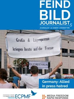 BILD FEIND - Germany: Allied in press hatred - European Centre for Press and Media Freedom