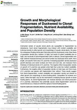 Growth and Morphological Responses of Duckweed to Clonal Fragmentation, Nutrient Availability, and Population Density