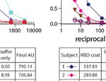 NOVEL ELISA PROTOCOL LINKS PRE-EXISTING SARS-COV-2 REACTIVE ANTIBODIES WITH ENDEMIC CORONAVIRUS IMMUNITY AND AGE AND REVEALS IMPROVED SEROLOGIC ...