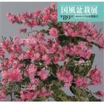 MAILLOT BONSAI BOOKSHOP - Japanese maples specialist