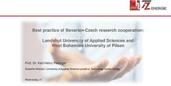 Best practice of Bavarian-Czech research cooperation: Landshut University of Applied Sciences and West Bohemian University of Pilsen