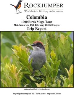 Colombia Trip Report 1000 Birds Mega Tour - Rockjumper Birding Tours