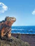 PREFERRED TRAVEL PARTNERS - InteleTravel.com 2018-2019