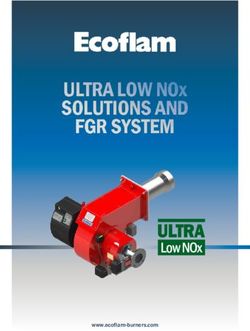 ULTRA LOW NOx SOLUTIONS AND FGR SYSTEM - ULTRA Low NOx - Ecoflam