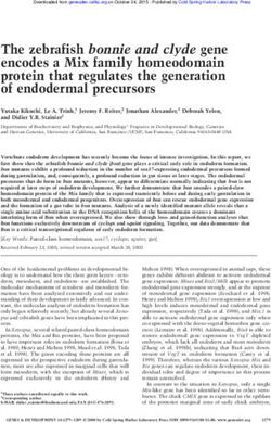 The zebrafish bonnie and clyde gene encodes a Mix family homeodomain protein that regulates the generation of endodermal precursors