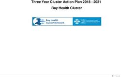 Three Year Cluster Action Plan 2018 - 2021 Bay Health Cluster - Gower Medical Practice