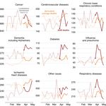 Go for zero: How Australia can get to zero COVID-19 cases - Stephen Duckett and Will Mackey