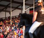 GET NOTICED Sponsoring at the World Championships of Icelandic horses 2021 in Herning, Denmark! 1.-8. August 2021 - World Championships for ...