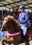 GET NOTICED Sponsoring at the World Championships of Icelandic horses 2021 in Herning, Denmark! 1.-8. August 2021 - World Championships for ...