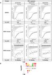Hinge like domain motion facilitates human RBMS1 protein binding to proto-oncogene c-mycpromoter