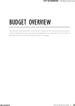 BUDGET OVERVIEW - City of Memphis