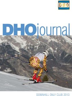 DHOjournal - Downhill only Club 2013